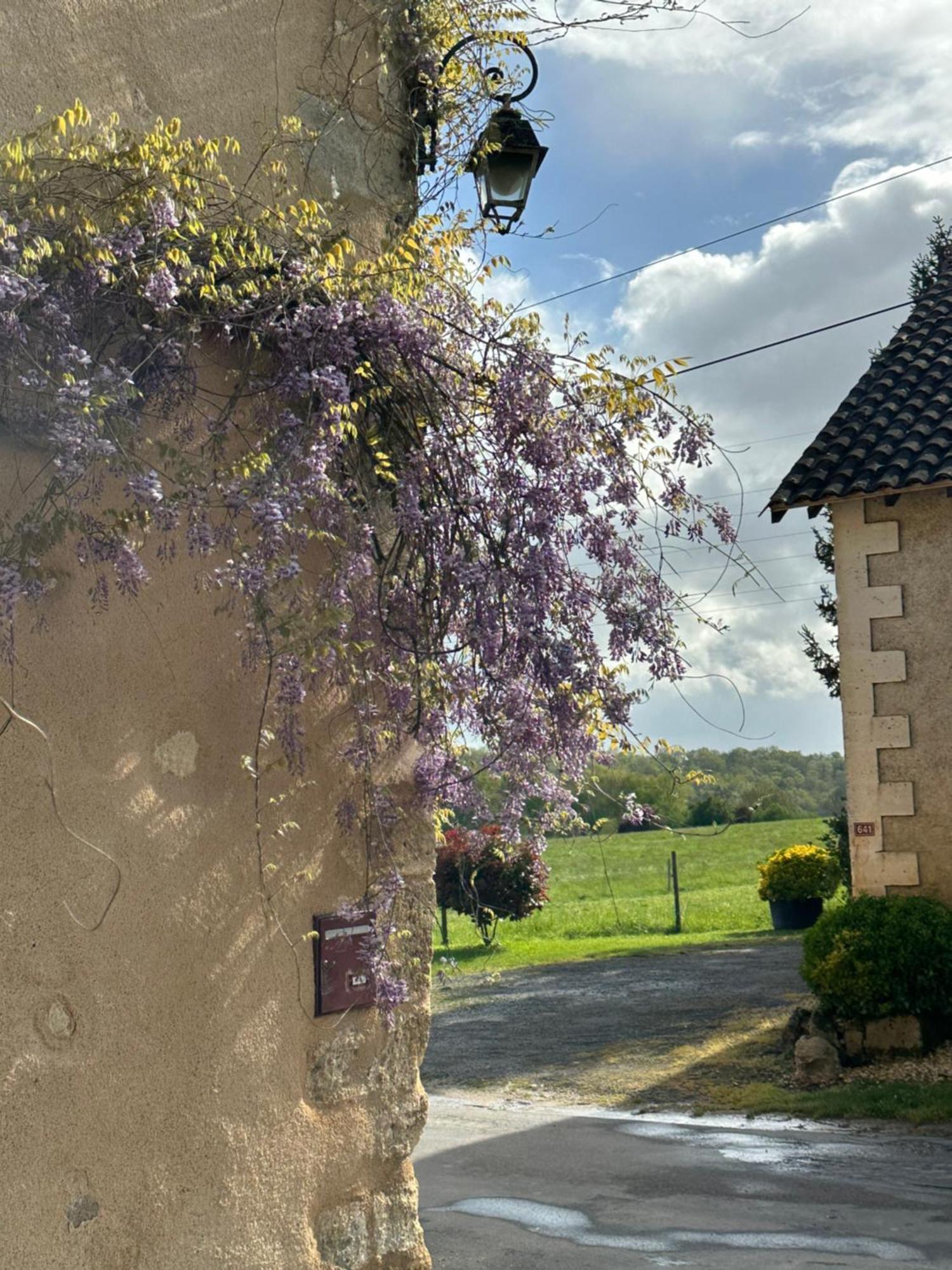 Le Chatenet 1689 Brantome Exterior photo